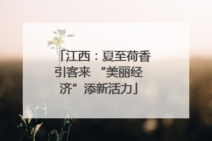 江西：夏至荷香引客来 “美丽经济”添新活力